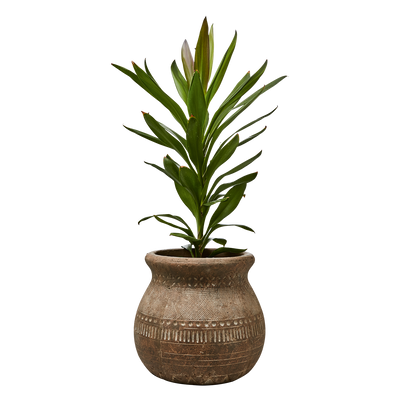 Affari of Sweden CAMILLE Kruka M, Beige