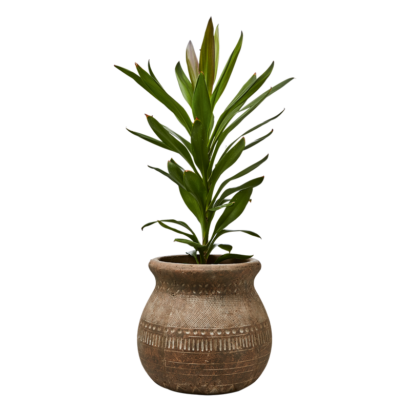 Affari of Sweden CAMILLE Kruka M, Beige