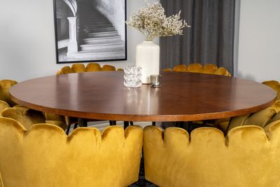 Venture Home Limhamn & Copenhagen 6 st Matstolar Gul + Runt Matbord ⌀140 Brun