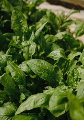 ZbmaOmdHEe8OwC71771453926