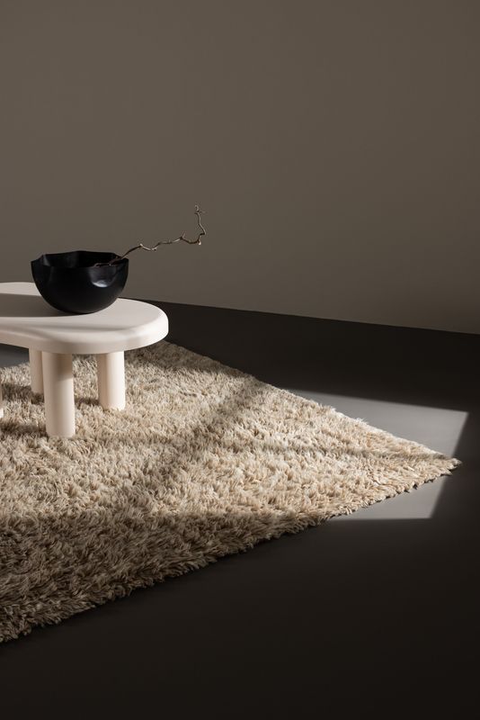 Venture Home Leiko Ullmatta Champagne