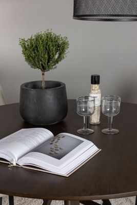 Venture Home Matgrupp Kaseindon med stolarna Rosie