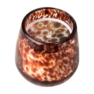 Affari of Sweden WILD Doftljus Citrus & sage, Brun
