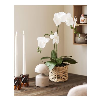 House Nordic Aulla Bordslampa Grå