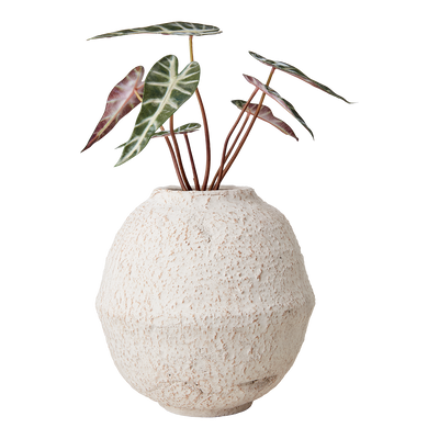Affari of Sweden CREAM Kruka, Elfenben