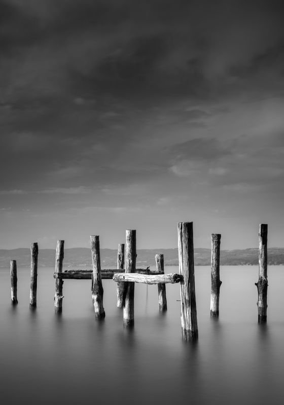 Venture Home Ocean Poster Grå