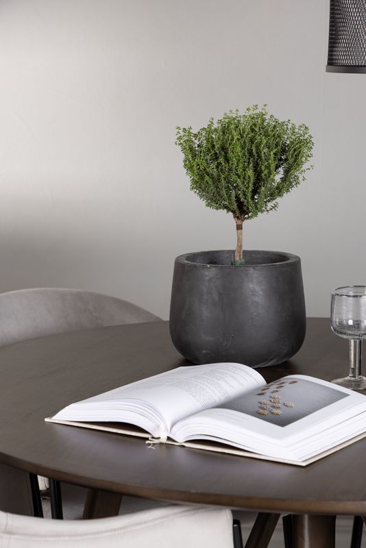 Venture Home Matgrupp Kaseindon med Evelina Stolar