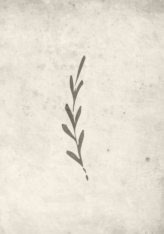 Venture Home Autumn leaf Poster Beige