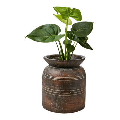 Affari of Sweden CAMILLE Kruka M, Brun