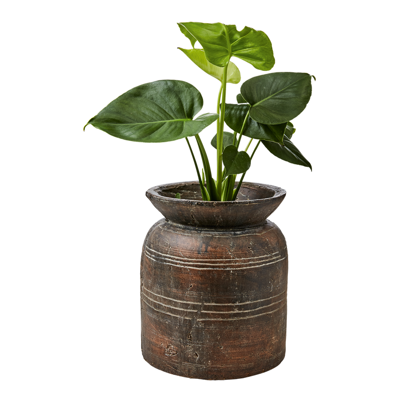 Affari of Sweden CAMILLE Kruka M, Brun