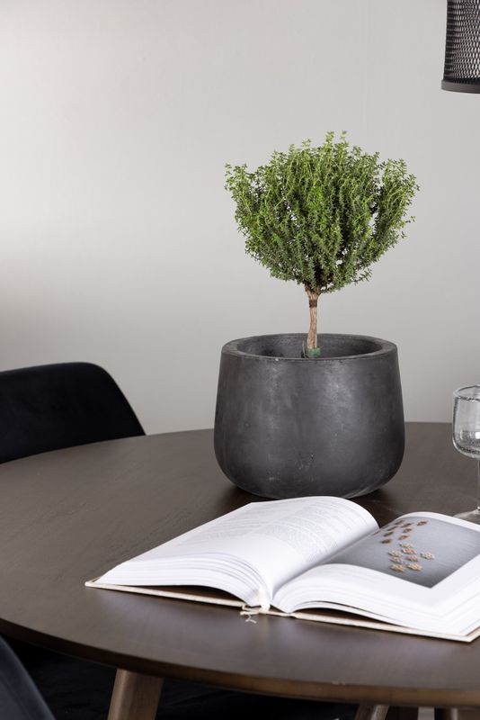 Venture Home Matgrupp Kaseindon med stolarna Night