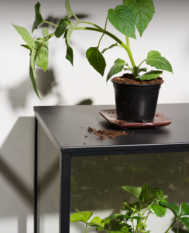 Brafab Grower Greens Plant Skåp Svart