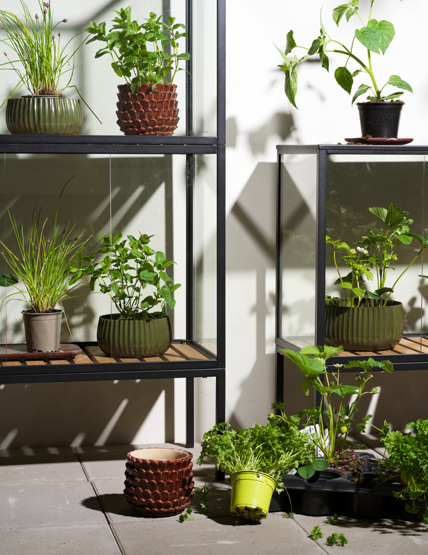 Brafab Grower Greens Plant Skåp Svart