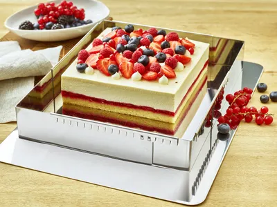 De Buyer Justerbar bakform 43x29 cm till 56x84 cm