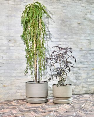 House Doctor Pepple Blomkruka Sand