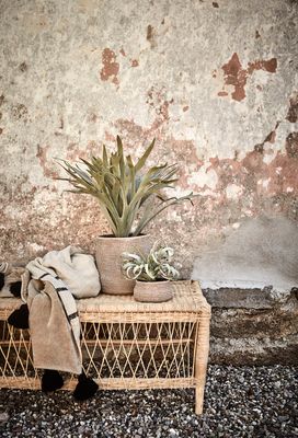 Affari of Sweden TRIBE Soffbord L, Natur, 160x60x50 cm