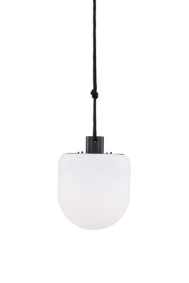 Venture Home Colie Taklampa