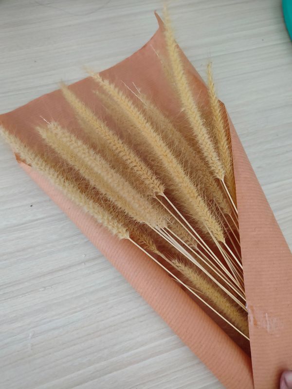 Venture Home Dry flowers Poster Beige