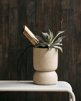 g4MWiUNH2WD3B0h1765674195