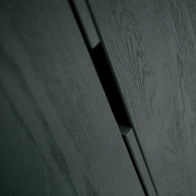 WOOOD SILAS 2-Dörrars Skåp i Svart Ask