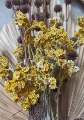 hX2gzmOuizMBneW1771453919