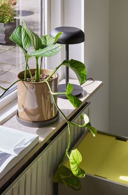 Hübsch Velo Bordslampa Svart
