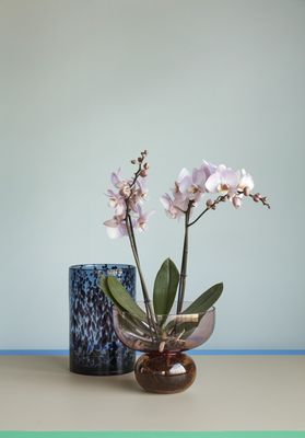Hübsch Show Vas Rosa/Bärnsten