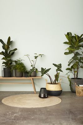 Hübsch Daze Korgar Svart/Natur (set om 2)