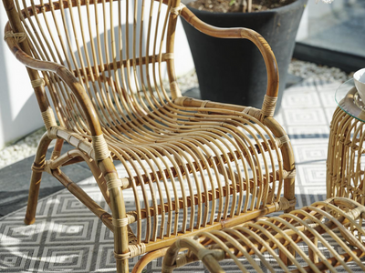 Brafab Vallda Öronlappsfåtölj i Rotting