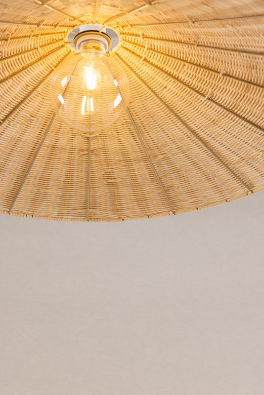 Herrestad Taklampa i Rotting – Vind Collection