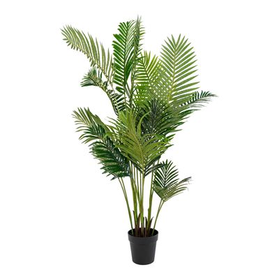 House Nordic Areca Palm Konstväxt