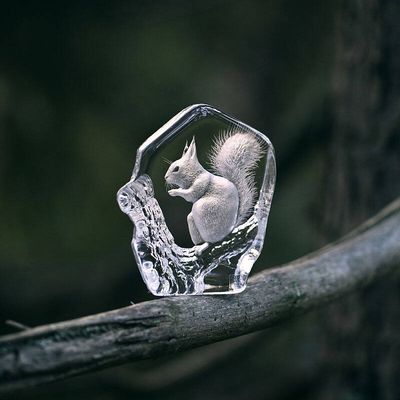 23056372-origpic-81e874