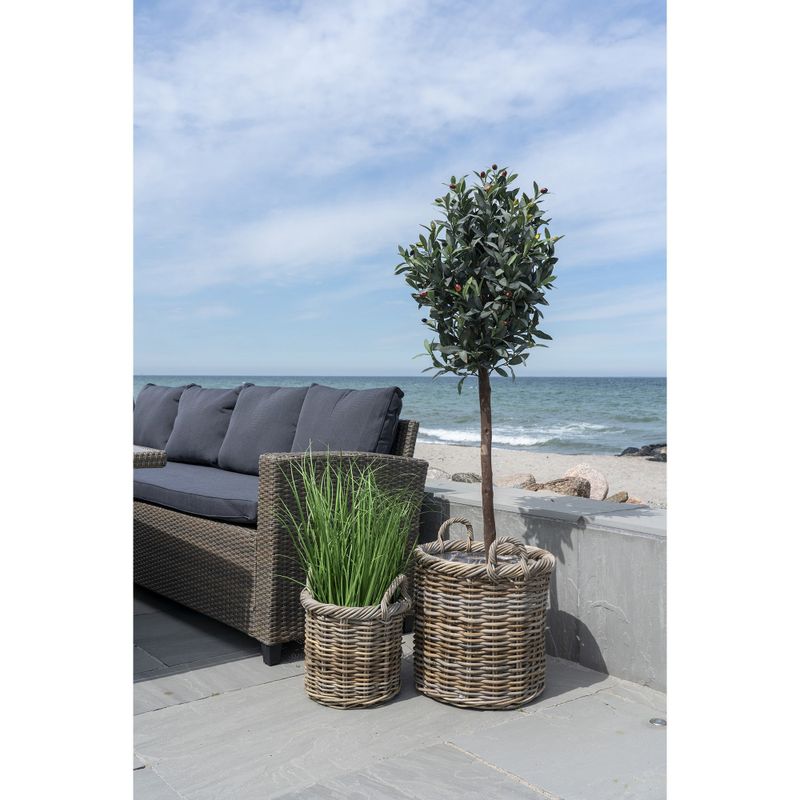 House Nordic Gili Korgar i Kubu Rattan, Set om 2
