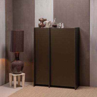 WOOOD BROCK 2-Dörrars Skåp i Askfanér