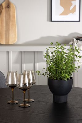 Venture Home Matgrupp Olivia med Stolar Rosie