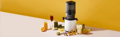 Hurom Slow Juicer H320N Vit
