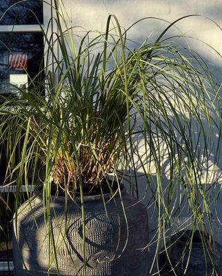 sJDauy07zL6qXd01765675169