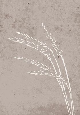 sdzCXToaDmZyTA51771453884