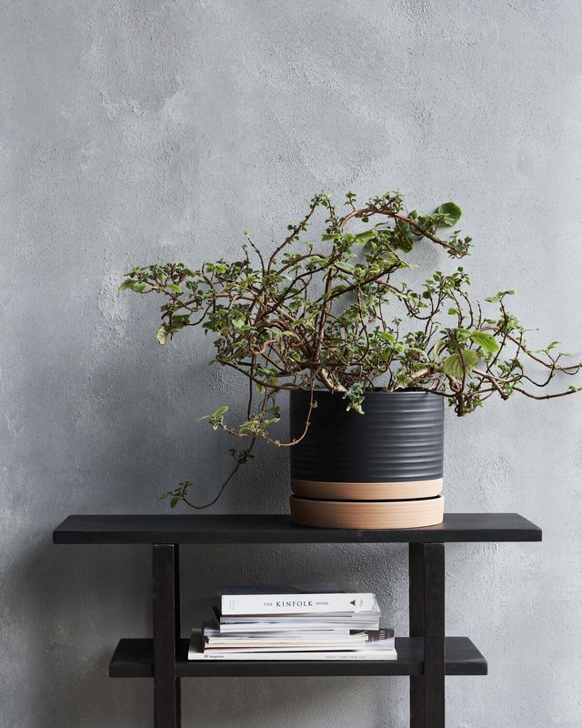 House Doctor Astu Blomkruka Svart/Natur