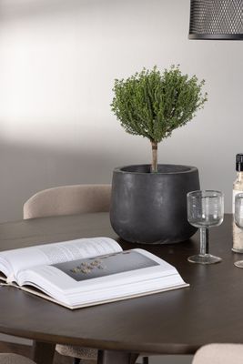 Venture Home Matgrupp Kaseindon med Modesto Stolar