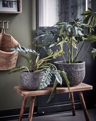 House Doctor Suco Kruka Grå