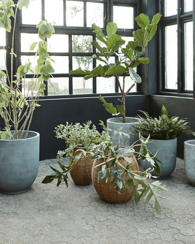 House Doctor Boum Kruka Natur