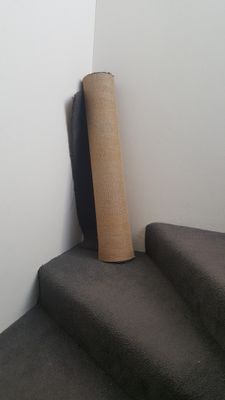 qtqJ8n32m4QNZIU1771453817