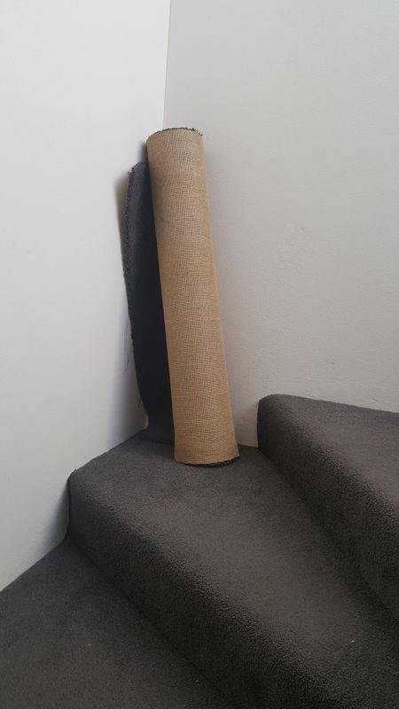 Venture Home Carpet Poster Brun