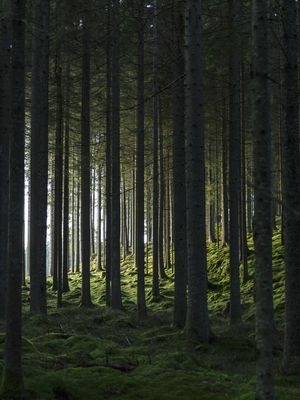 r1ZRuoGyhp7SXzn1771453933