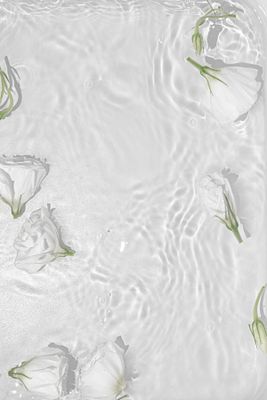 rNsqwBMPUdjprin1771453815