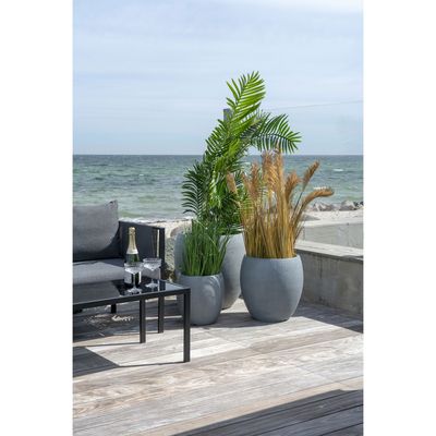 House Nordic Areca Palm Konstväxt