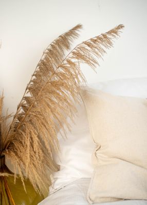 rVRnwnV0do2YUs81771454721