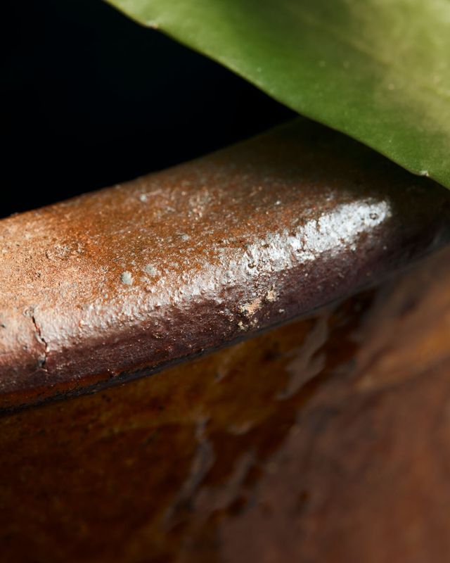 House Doctor Whai Kruka Senapsgul