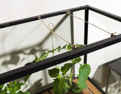 Brafab Grower Greens växtskåp hög svart